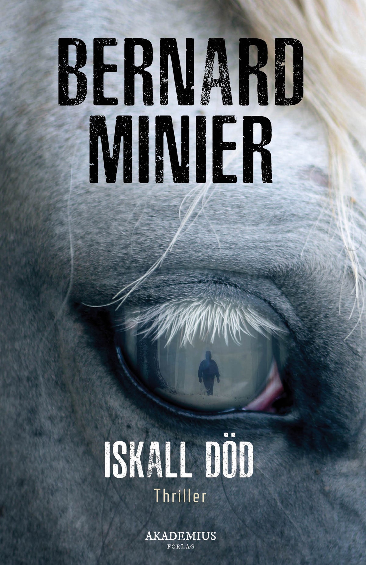 Omslag till Iskall död av Bernard Minier